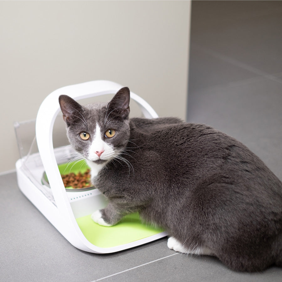 SureFeed Microchip Pet Feeder Connect & Hub Bundle for Cats & Small Dogs – White